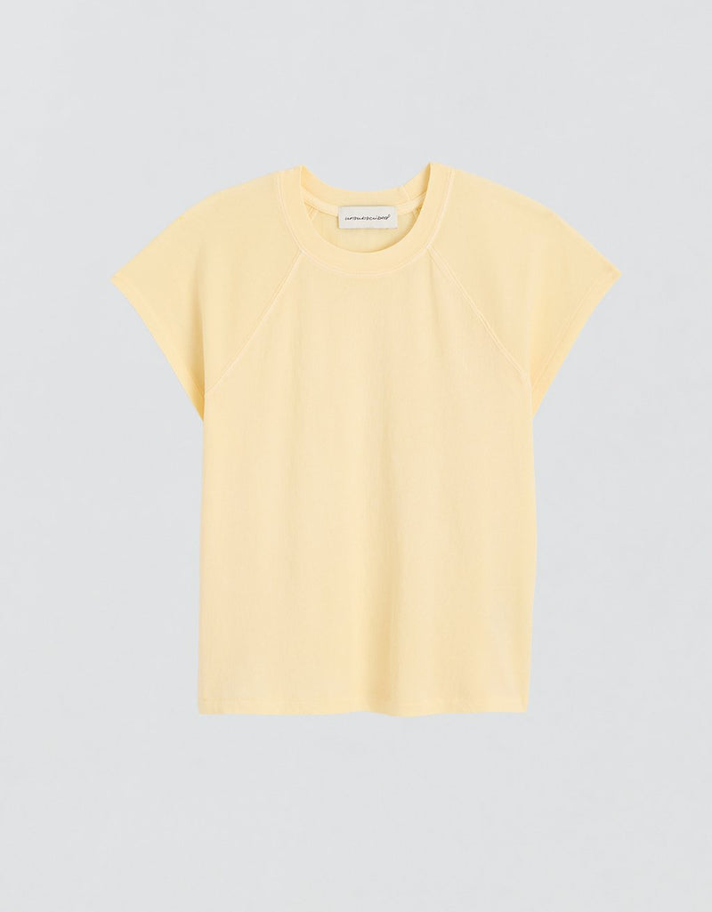 Yellow raglan t-shirt on a light gray background