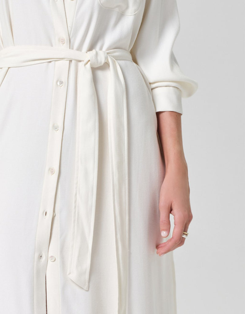 Citizens of Humanity Camillia Shirt Dress
