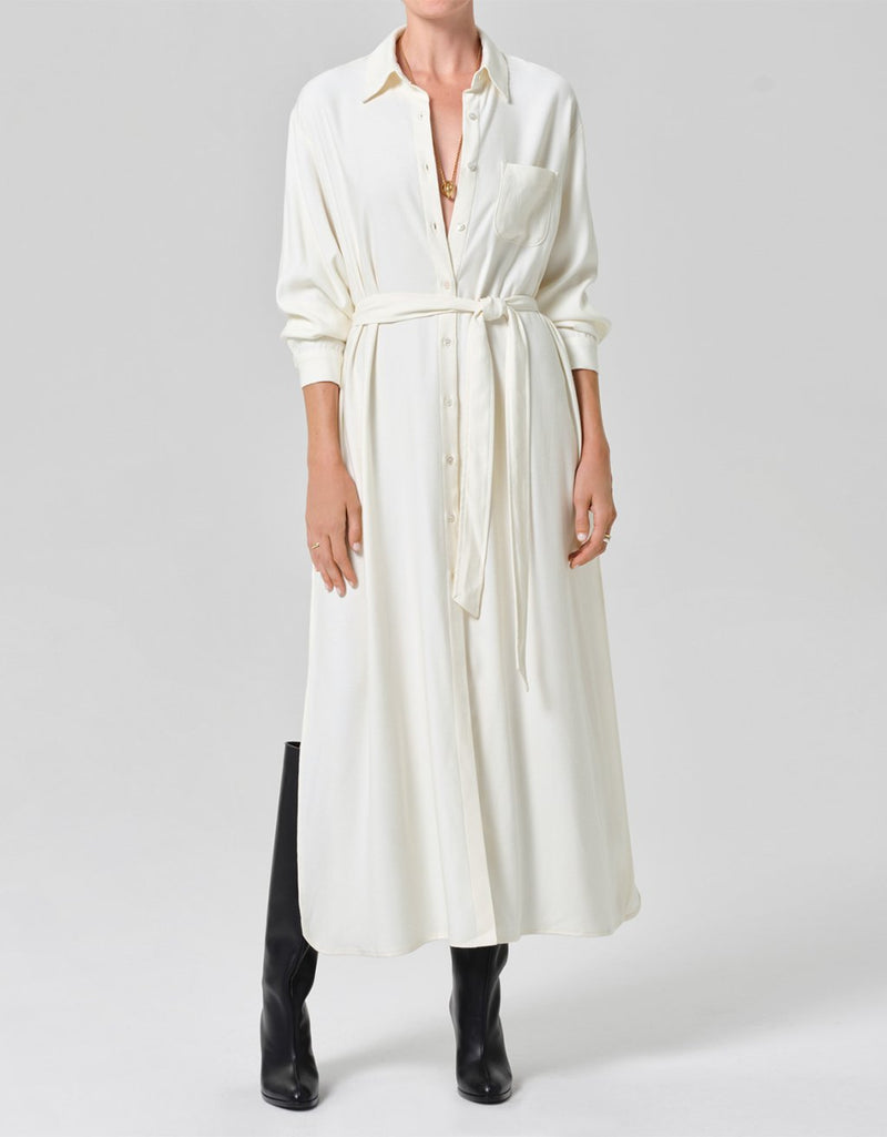Citizens of Humanity Camillia Shirt Dress