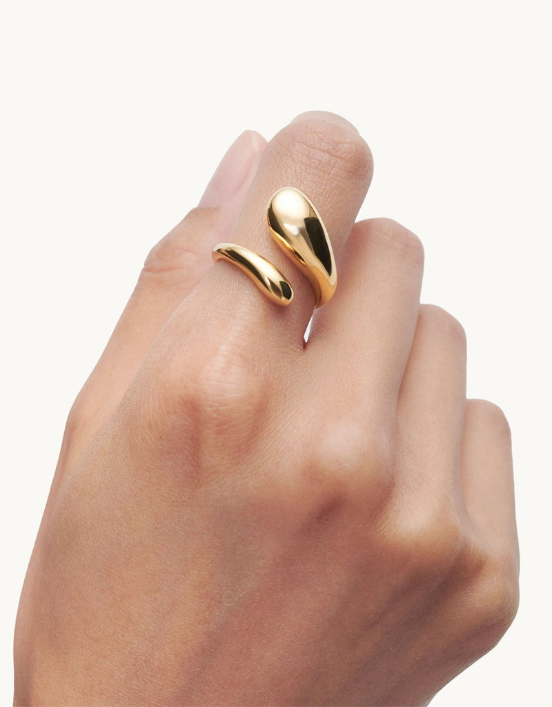 PDPAOLA Orbit Ring