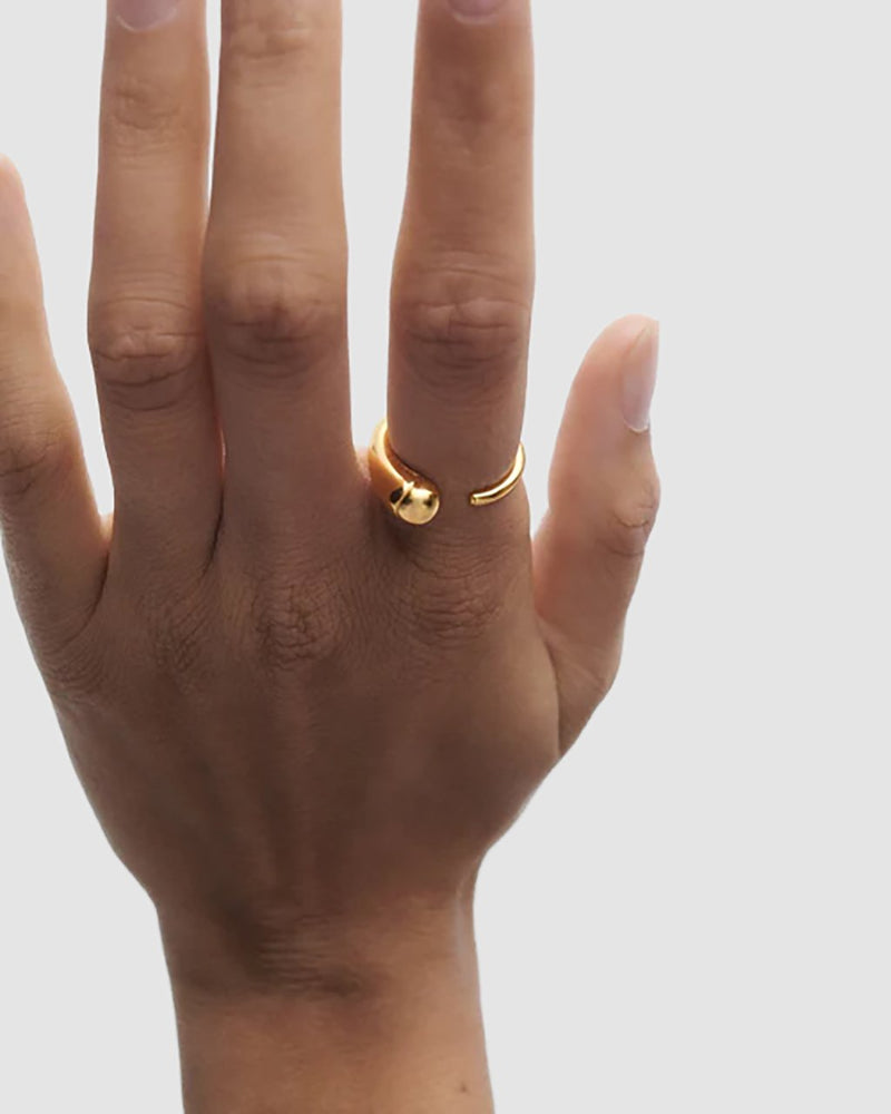 PDPAOLA Loop RIng